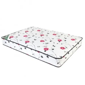 Colchón Cannon Soñar 140x23 (Resorte)