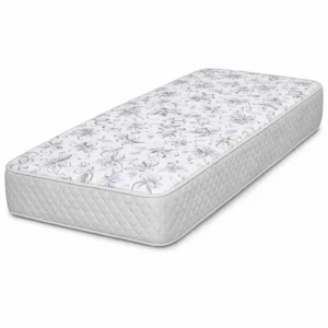 Colchón Cannon Princess 80x20 (Espuma)